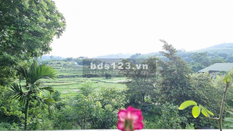 Bán trang trại khu nghỉ dưỡng 3634m2 view cánh đồng giá rẻ chỉ hơn tr/m2 cách HN 40km