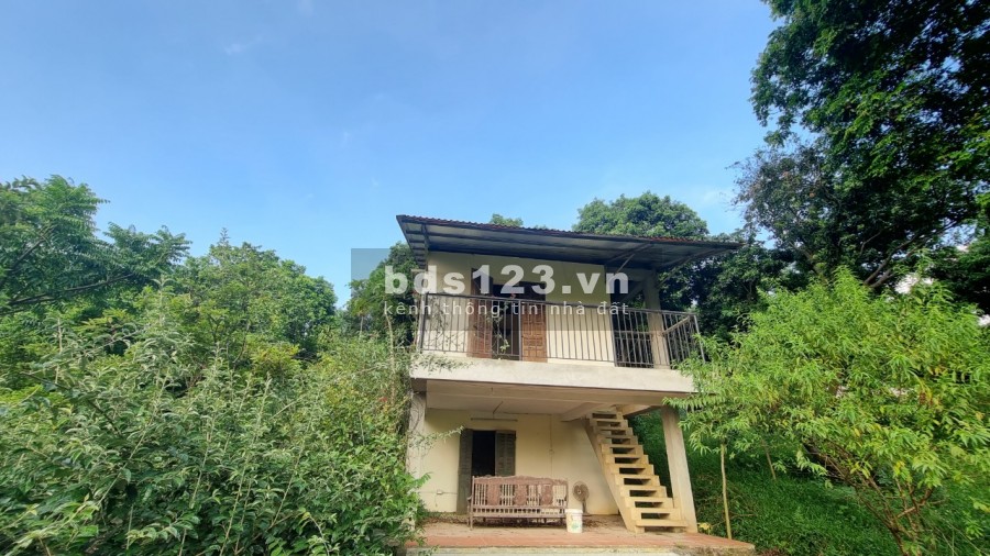 Bán trang trại khu nghỉ dưỡng 3634m2 view cánh đồng giá rẻ chỉ hơn tr/m2 cách HN 40km