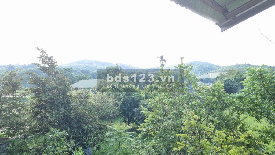 Bán trang trại khu nghỉ dưỡng 3634m2 view cánh đồng giá rẻ chỉ hơn tr/m2 cách HN 40km