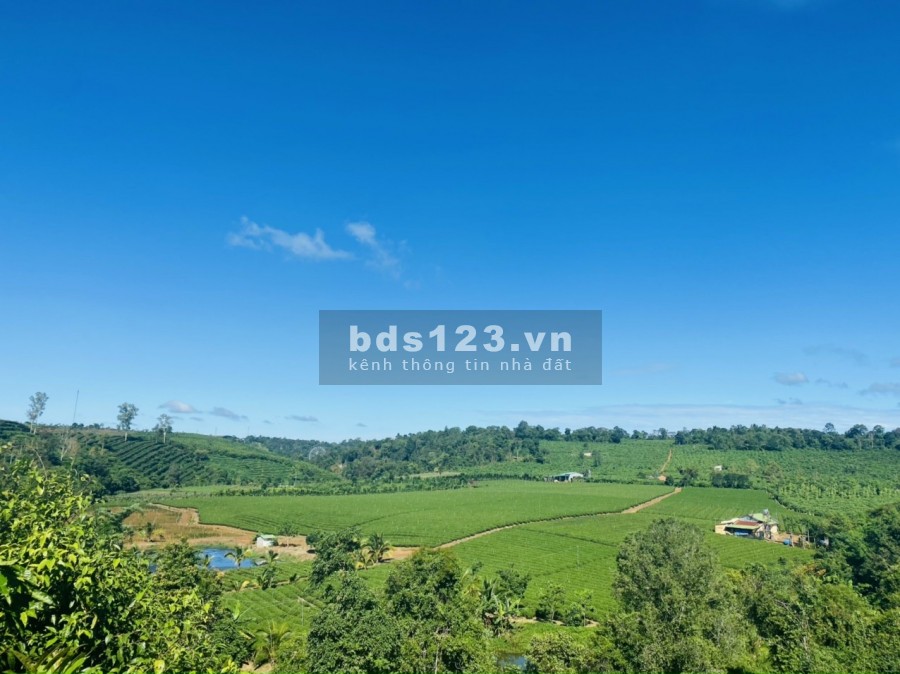 Cần bán đất có sẵn thổ cư, tích hợp đầy đủ view suối, đồi chè, thanh toán linh hoạt