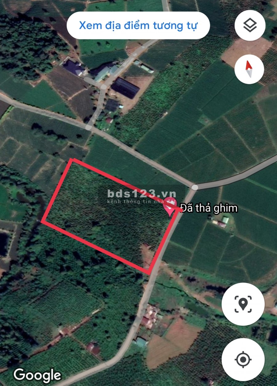 Cần bán đất có sẵn thổ cư, tích hợp đầy đủ view suối, đồi chè, thanh toán linh hoạt