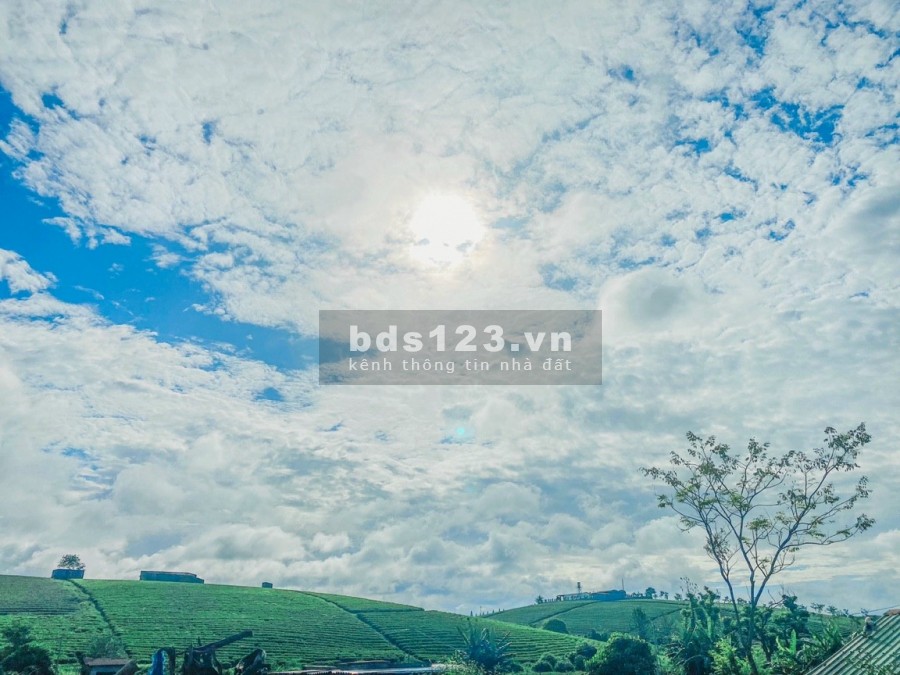 Cần bán đất có sẵn thổ cư, tích hợp đầy đủ view suối, đồi chè, thanh toán linh hoạt