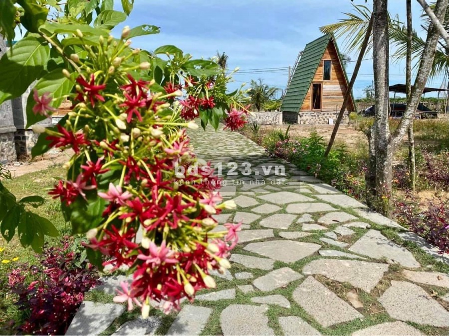 Bán đất có sẵn 7 căn nhà gỗ home stay giá 13ty Đường Quốc Lộ 55, Xã Bông Trang, Xuyên Mộc, Bà Rịa