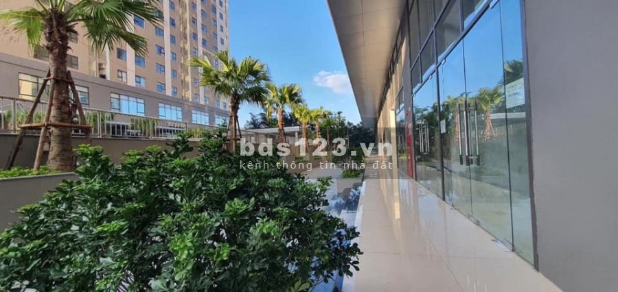 Nhượng Lại Kiot diện tích 50m2 Giá Xin Ưu Đãi chủ Đầu Tưdự Án Iec Tứ Hiệp Thanh Trì
