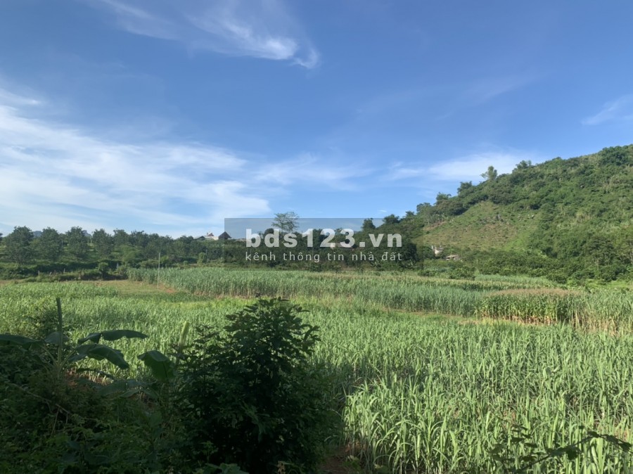 Chính chủ gửi bán 2100m có 577m thổ cư view núi thoáng, giá bán 850 triệu, pháp lí đủ