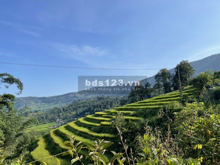 Bán Lô đất Y Tý( Sapa2) view ruộng bậc thang cực đẹp-0822356688