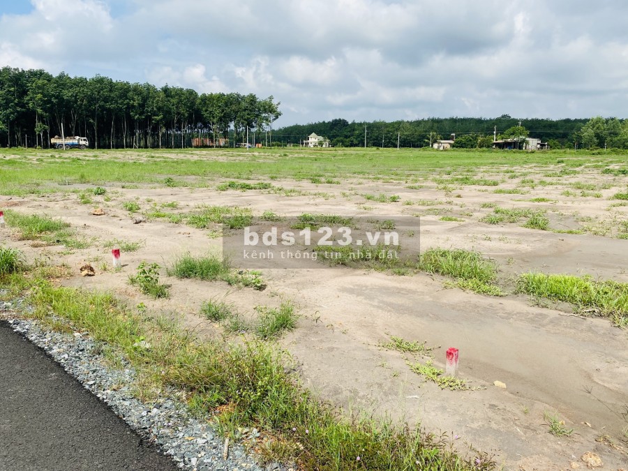 KDC Tân Quan dần và sẽ trở thành khu công nghiệp đón đầu làn sóng đầu tư