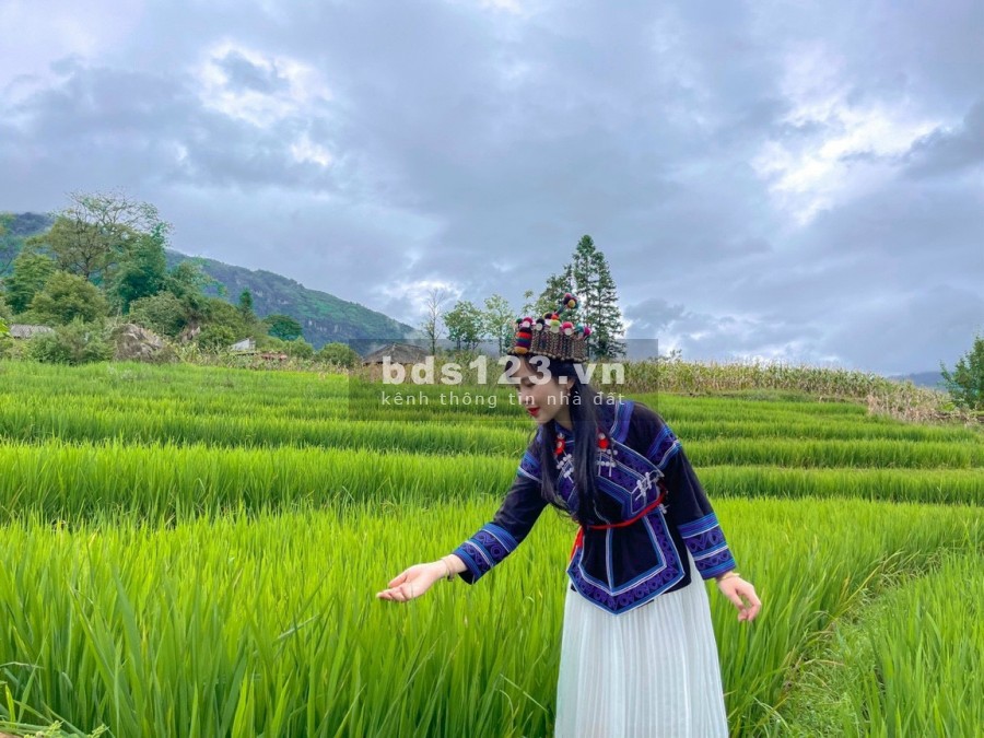 Bán Lô đất Y Tý( Sapa2) view ruộng bậc thang cực đẹp-0822356688