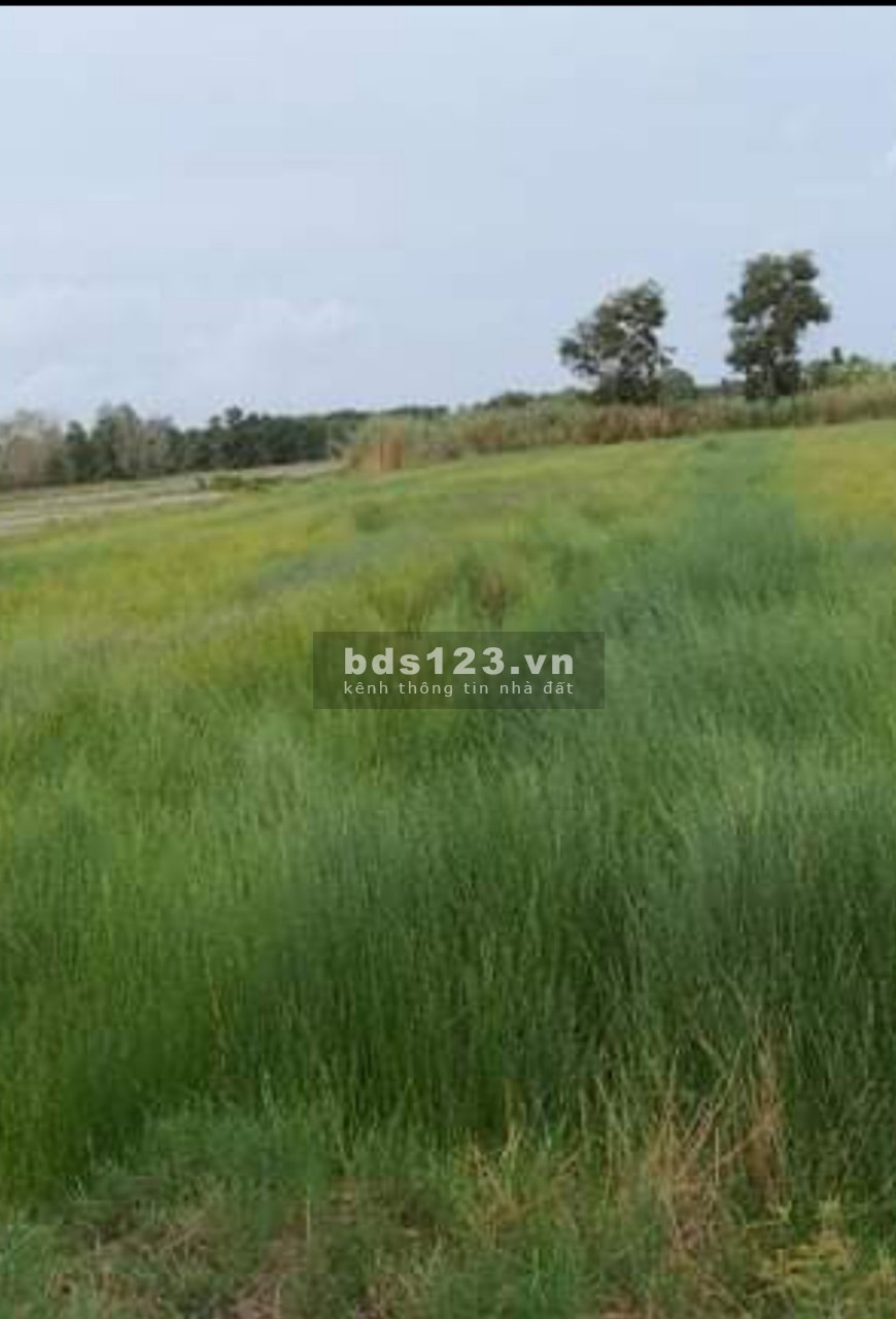Bán đất sổ đỏ vị rất thuận lợi để ở đất Nông nghiệp, giá bán 350 triệu, lh 0946756685