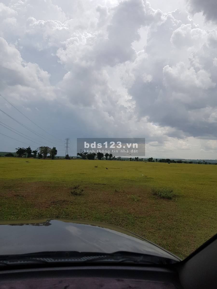 Bán 5871m2 đất Bình Tân, Bắc Bình 645tr gần công viên sinh thái safari 3300ha sổ sẵn Lh 0938677909
