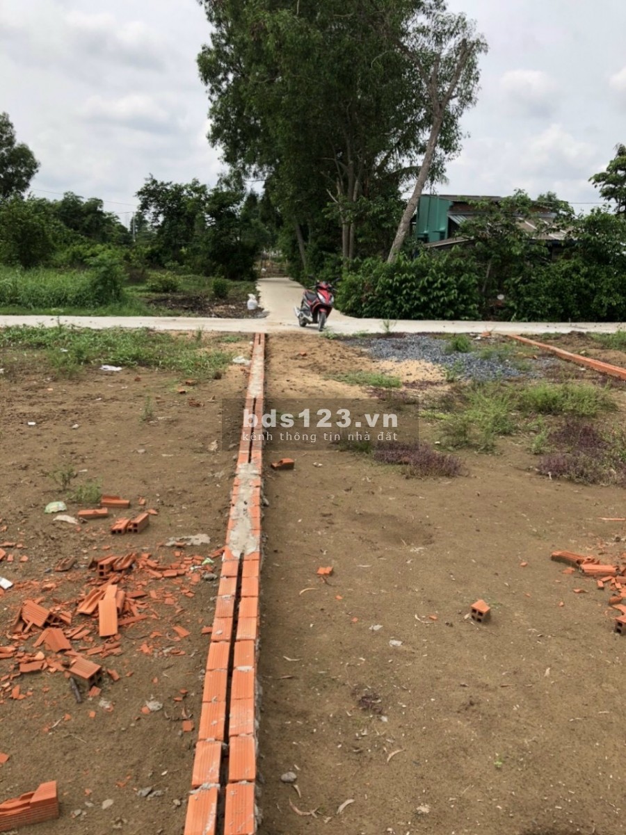 Đất nền thổ cư Bình Chánh, đường Bình Trường, 80m2, sổ hồng riêng chính chủ