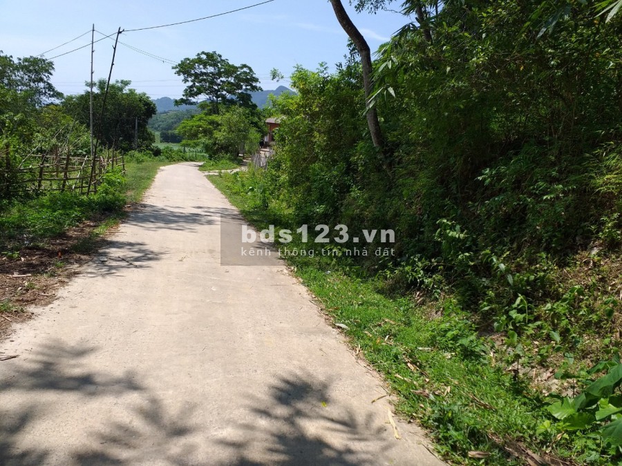 Hàng hiếm giá rẻ chỉ hơn 500 triệu, dt 1580m2 thổ cư suối thác trong đất, view cánh đồng