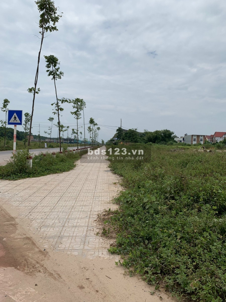 Chuẩn bị mở bán dãy Shophouse Đất đấu giá Hồng Tiến, đối diện KCN Yên Bình, giá đầu tư