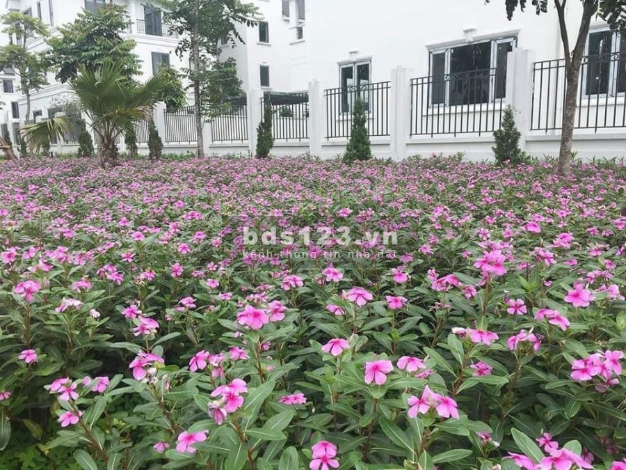 Times Garden Vĩnh Yên Residences nhà vườn trong phố, hu vườn hạnh phúc bên hồ, lh 0345468950