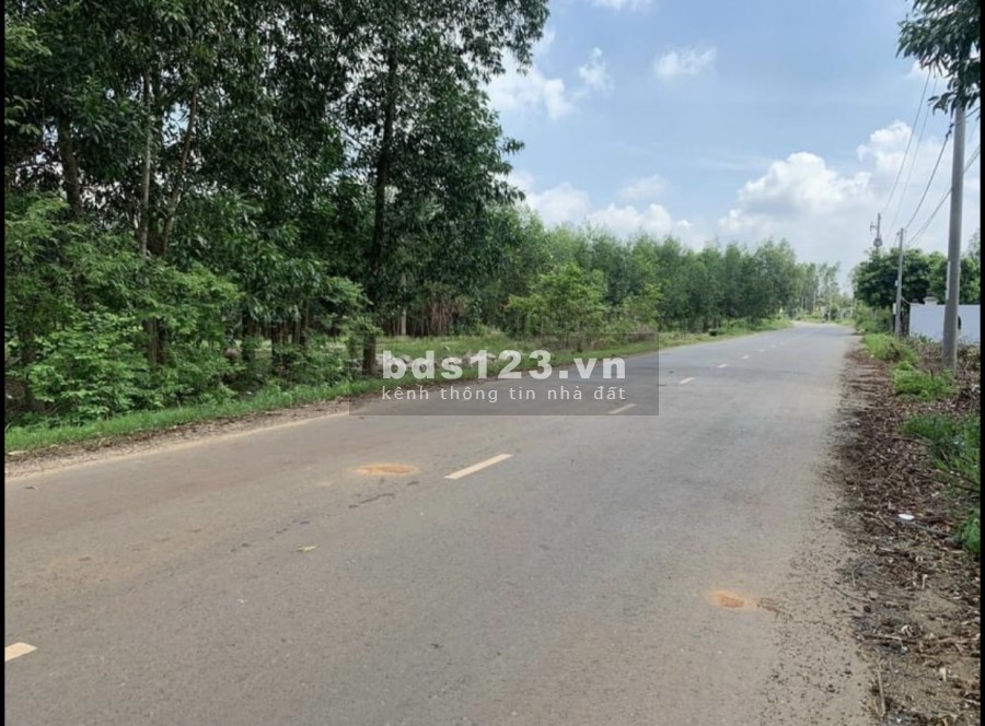 Đất sổ Hồng riêng ở Sông Xoài Phú Mỹ giá ngộp cắt lỗ giá bán 300 triệu, sổ đỏ chính chủ