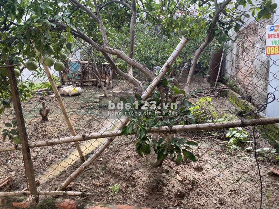 Cần bán đất tại Mỹ Đình, Quận Nam Từ Liêm, diện tích sử dụng 70m2, giá bán 7 tỷ