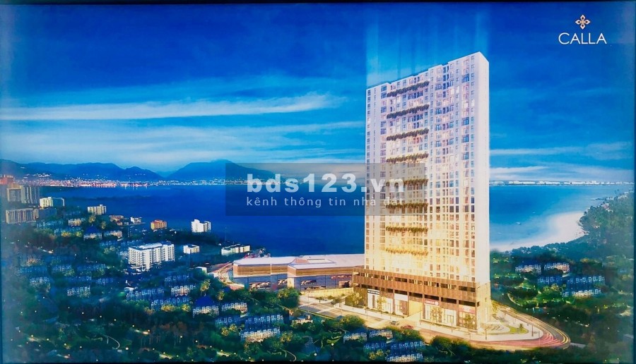Kim Cúc sắp ra mắt căn hộ Calla Quy Nhơn cạnh siêu thị BigC, sổ hồng sở hữu lâu dài