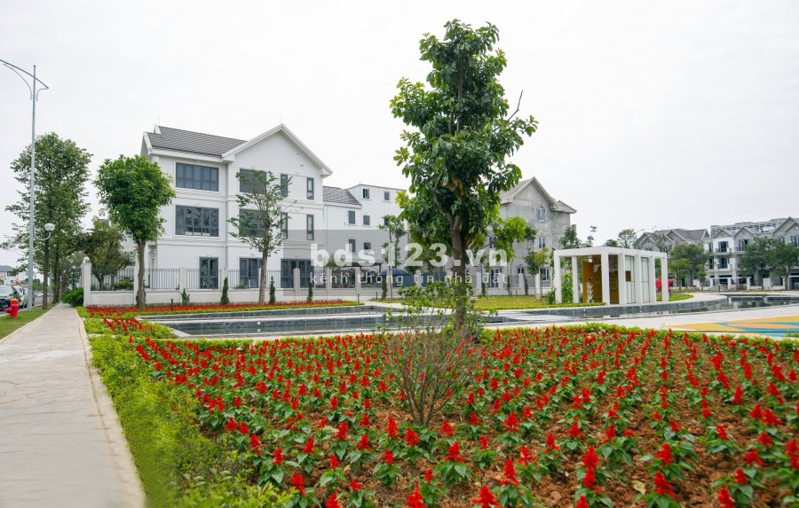 Times garden Vĩnh Yên nơi đặt trọn niềm tin của quý khách, tiện ích xung quanh, sổ đỏ chính chủ