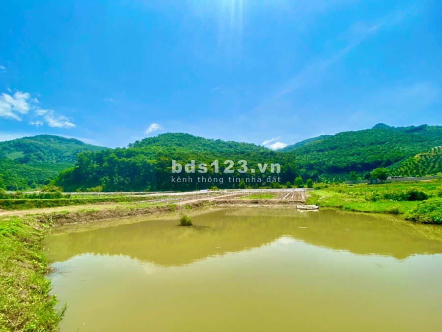 Bán 8513 thực tế 10.000m đất trang trại nghỉ dưỡng phẳng như sân bay giá chỉ hơn 2 tỷ tại Kim Bôi