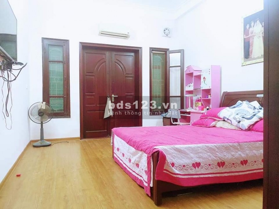 Bán nhà nguyên căn Trần Khát Chân đẹp lộng lẫy an sinh đỉnh, dt 40m2, đúc 5 tầng kiên cố