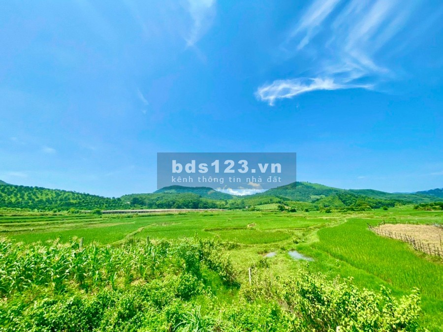 Bán 8513 thực tế 10.000m đất trang trại nghỉ dưỡng phẳng như sân bay giá chỉ hơn 2 tỷ tại Kim Bôi