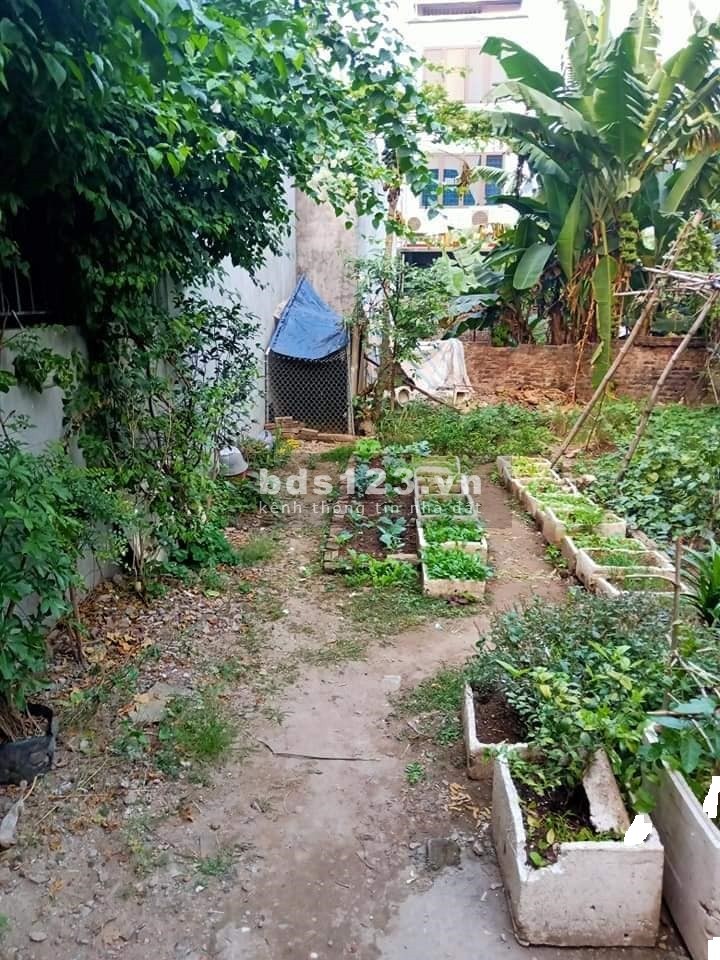 Bán đất ngõ ô tô thông đầu phố Nguyễn Văn Cừ, Long Biên, dt 98m2, mt 5m, giá 10,2 tỷ