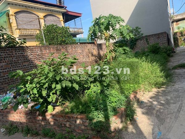 Bán đất diện tích 52m2 lô góc đường 5m tại Dương Quang, Gia Lâm liên hệ 0983253436