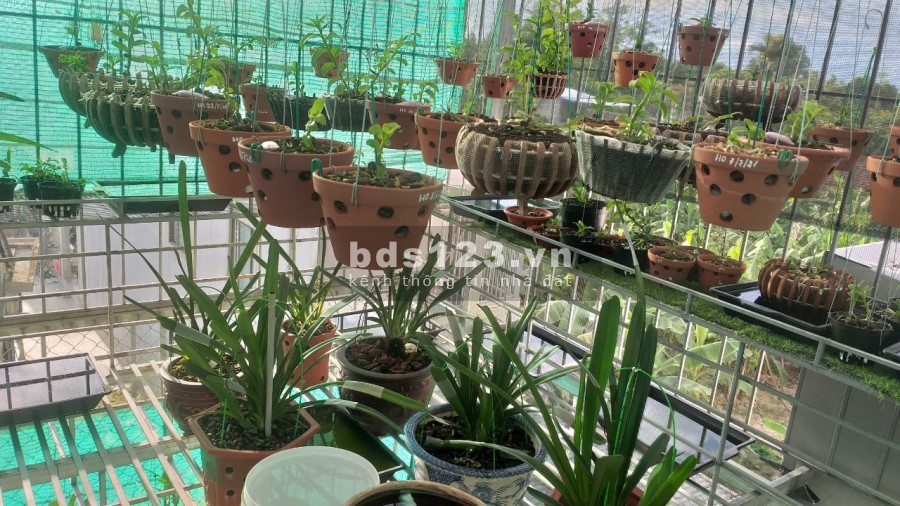 Bán nhà 2 tầng xóm 3 Dưỡng Mong giá chỉ 2.9xx tỷ, thương lượng Hotline: 0777937251