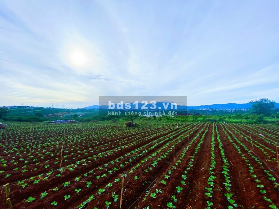 Đất ven Đà Lạt, đất ở đô thị thổ cư, view hồ lớn, sổ có sẵn, giá thuận tiện đầu tư, lhcc