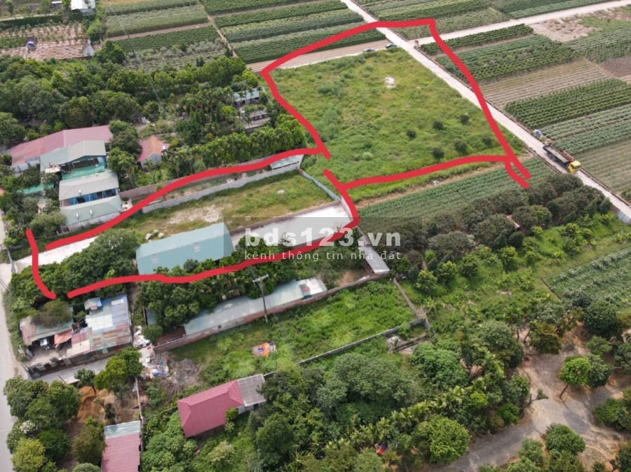 Bán lô đất mặt đường đại lộ Thăng Long, sổ sẵn diện tích 4188m2, liên hệ xem đất 0399812995