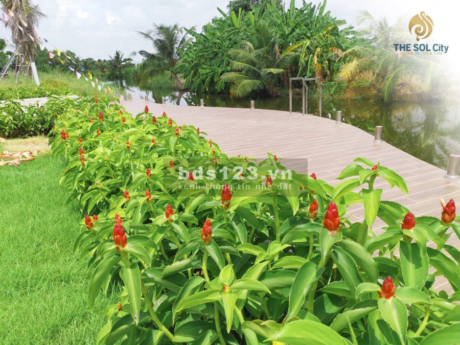 Bán nhà mặt phố, đất nền The Sol City 097.2838.411 chỉ 590 triệu sở hữu ngay