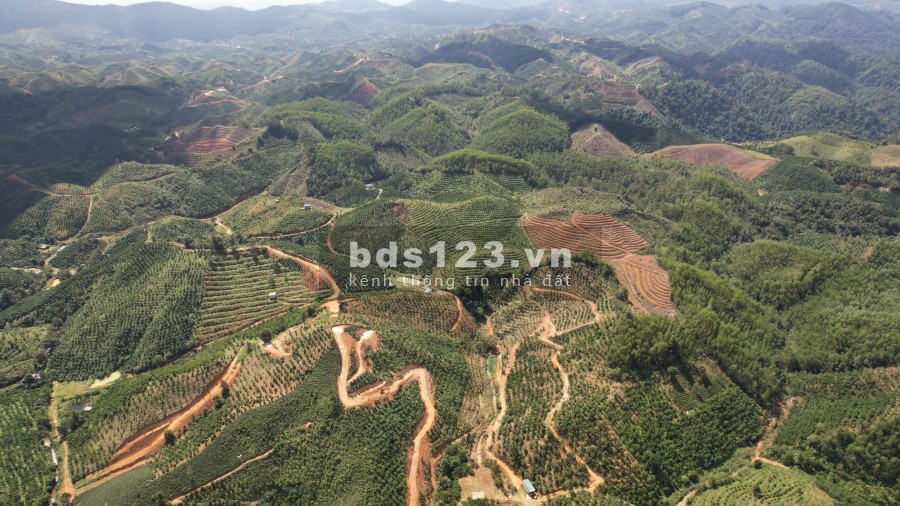 Bán lô đất giáp suối giá chỉ 300 nghìn/m2 xã đại lào thành phố Bảo Lộc, liên hệ 0907019379