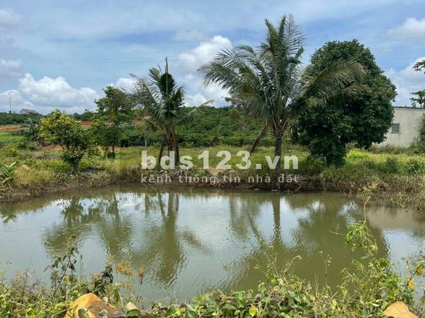 Đất cần bán gấp do đang cần tiền diện tích sử dụng 3600m2, đường lớn, xe vào tận nơi