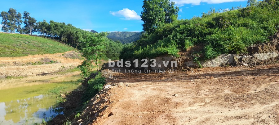 Chuyển nhượng 1441m2, có 200m2 thổ cư view hồ tại Đồng Chanh, Lương Sơn, Hoà Bình