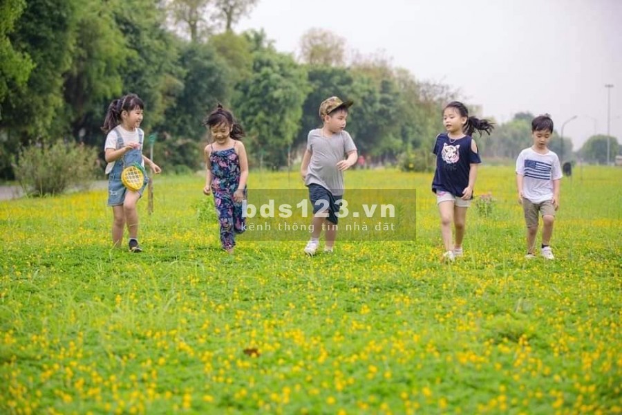 Bán shophous liền kề dự án Lạng Sơn Green Park, sổ đỏ chính chủ, khu đô thị tiện ích đủ