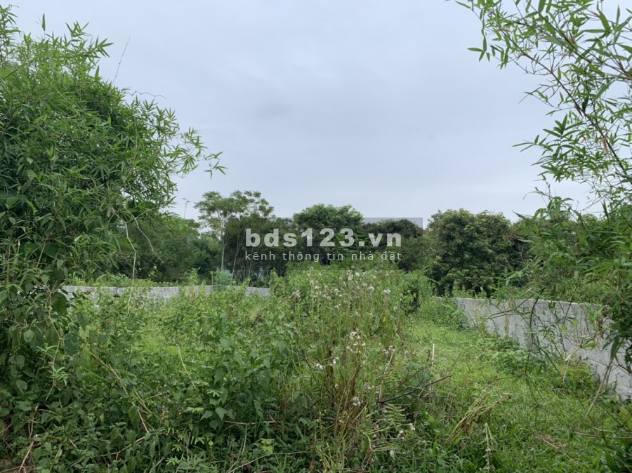 Bán 412m 40m thổ cư tại lương sơn hb giá rẻ