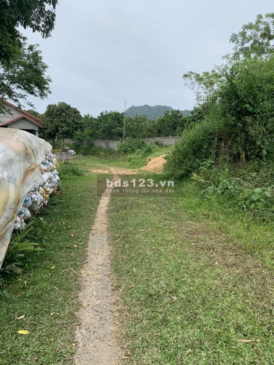 Bán 412m 40m thổ cư tại lương sơn hb giá rẻ