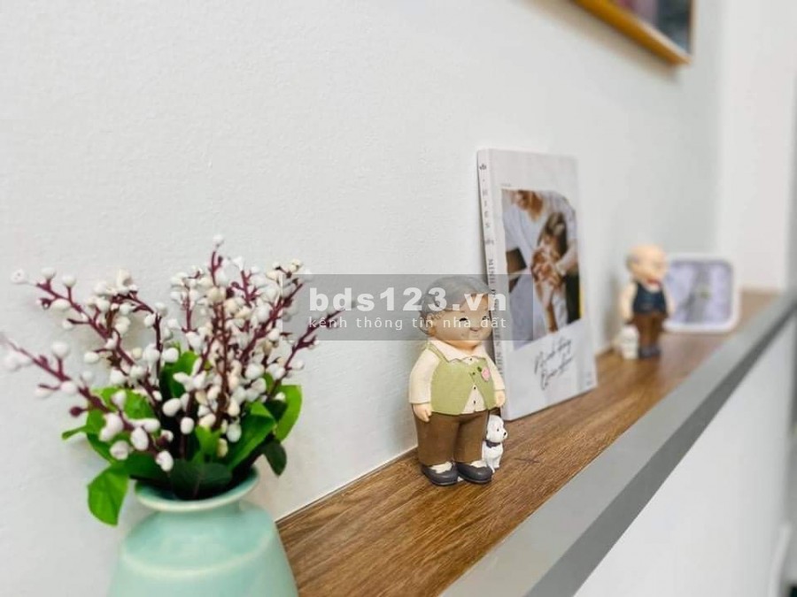 Bán nhà Gò Vấp, hẻm xe hơi 2 Tầng, dt 46m2, giá chỉ hơn 4 tỷ, khu nhà cao tầng, an ninh, dân trí cao