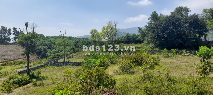 Chuyển nhượng 1441m2, có 200m2 thổ cư view hồ tại Đồng Chanh, Lương Sơn, Hoà Bình