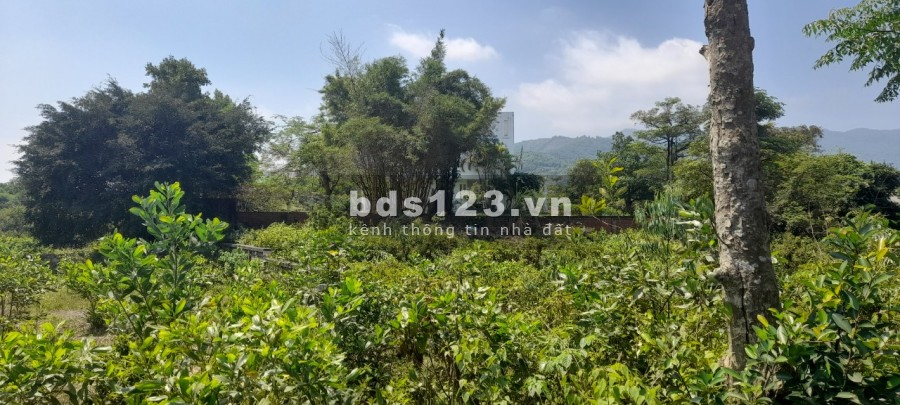 Chuyển nhượng 1441m2, có 200m2 thổ cư view hồ tại Đồng Chanh, Lương Sơn, Hoà Bình