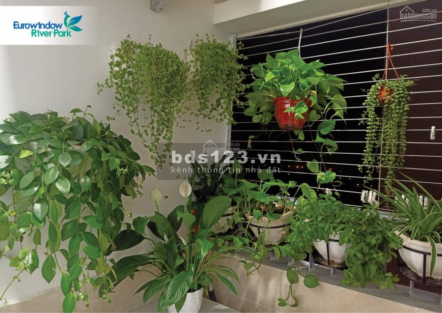 Căn Hộ 2PN giá chỉ 1.6 Tỷ Nhận Nhà Ở Ngay Gần Trung Tâm Thành Phố, Có Sổ Đỏ, HTLS 0%