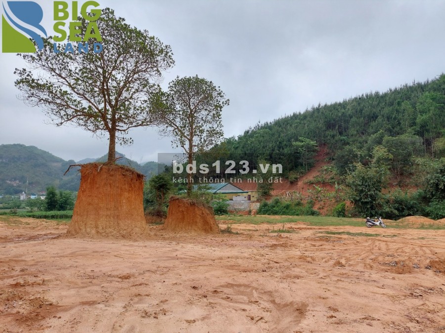 Cần bán lô đất diện tích sử dụng 25000m2 tại mộc Châu giá rẻ bất ngờ, pháp lí đầy đủ