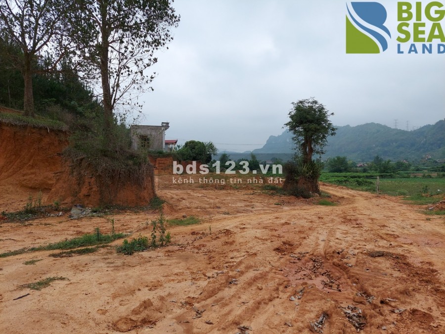 Cần bán lô đất diện tích sử dụng 25000m2 tại mộc Châu giá rẻ bất ngờ, pháp lí đầy đủ