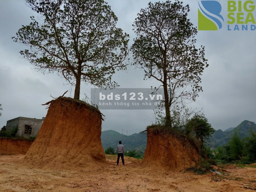 Cần bán lô đất diện tích sử dụng 25000m2 tại mộc Châu giá rẻ bất ngờ, pháp lí đầy đủ