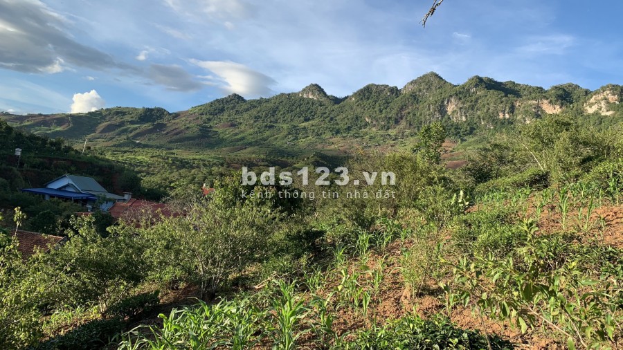 Cần bán mảnh đất đẹp tại Môc Châu giá rẻ, đất vuông vức, tiện ích xung quanh, lh 0792111993