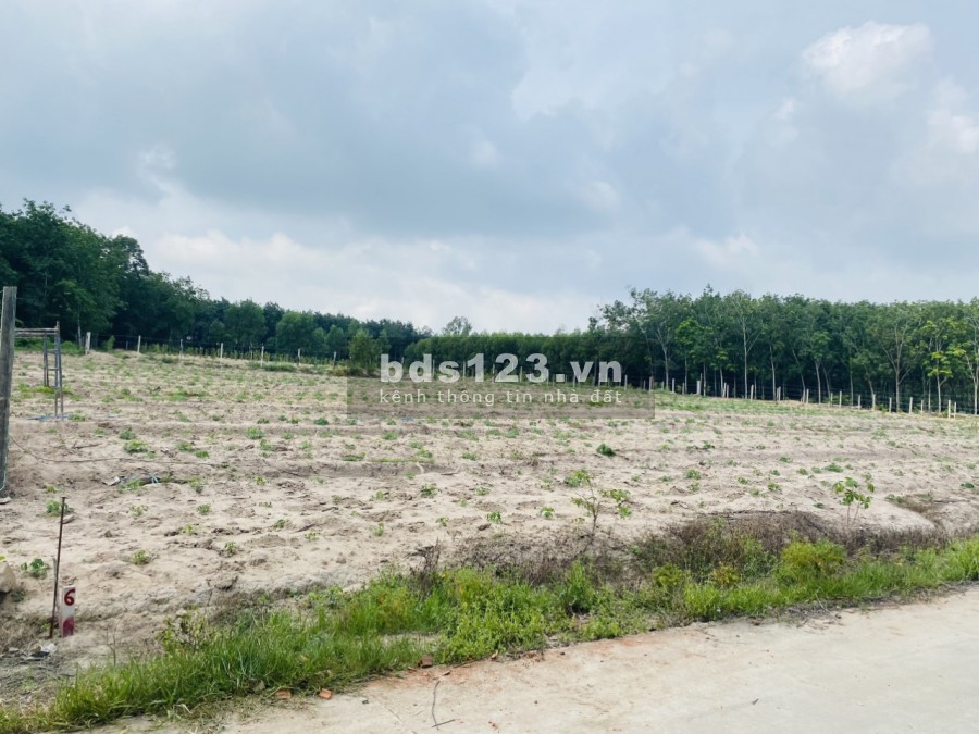 Bán gấp diện tích 1000m2 chỉ 2.1 triệu/m2 tại Phước Bình, Long Thành, đường ô tô vào tận nơi