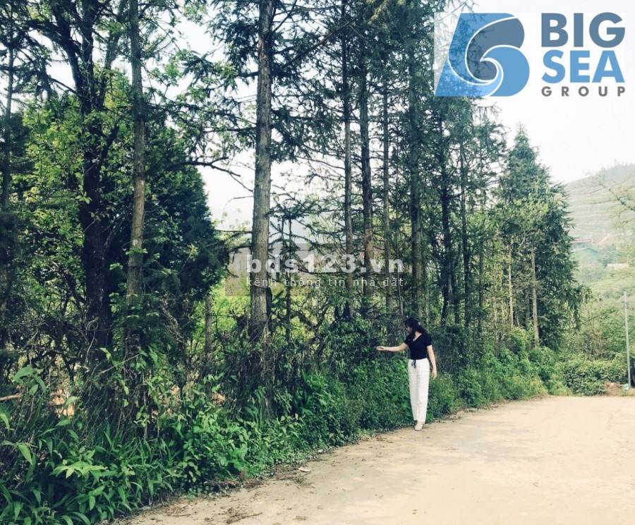 Đất nền nghỉ dưỡng sapa giảm giá sau covit 19 liên hệ xem đất 0974311661, giá bao tốt