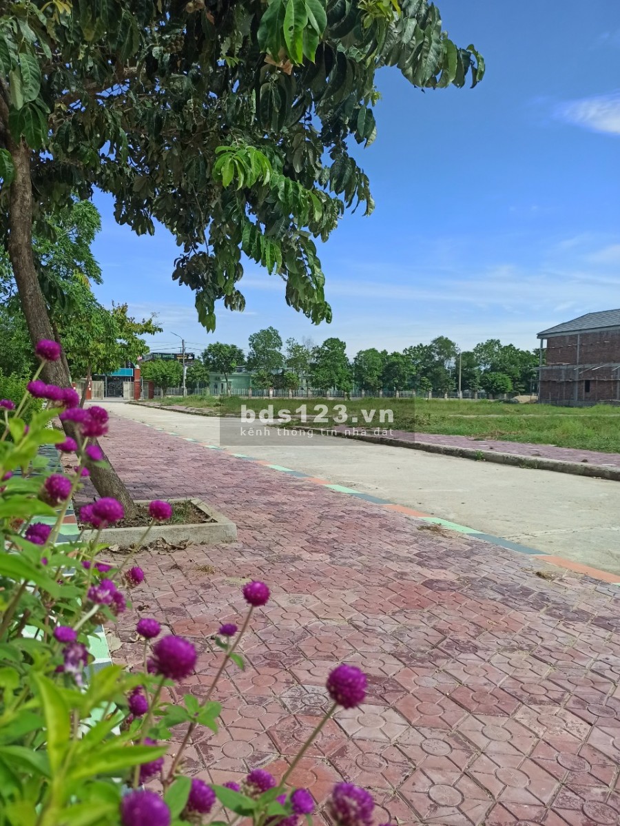 Cơ hội vàng cho nhà đầu tư mua đất tặng vàng, cam kết giá tốt nhất khu vực trung tâm Hoàng Mai