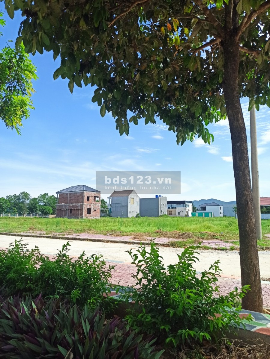 Cơ hội vàng cho nhà đầu tư mua đất tặng vàng, cam kết giá tốt nhất khu vực trung tâm Hoàng Mai