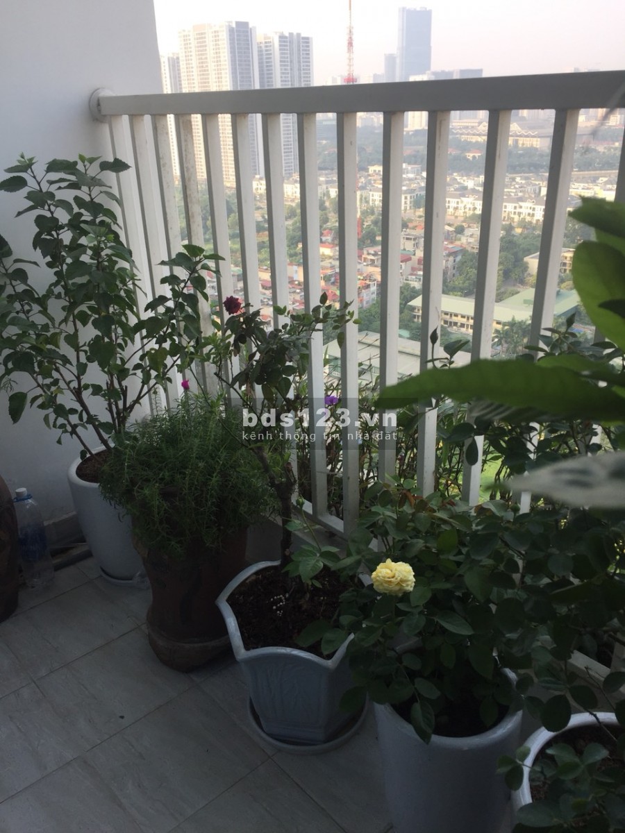 Giá siêu rẻ bán nhanh căn 2PN Ecolife Capitol, Tòa A2, full nội thất xịn, giá chỉ 2.4 tỷ.
